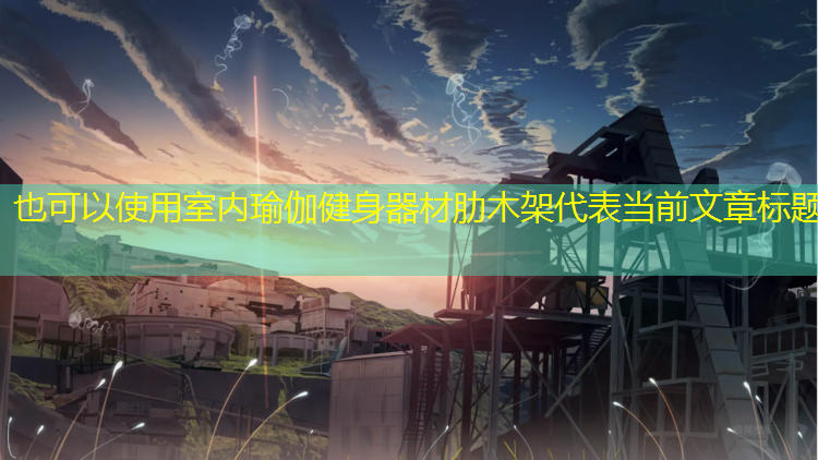 室內(nèi)瑜伽健身器材肋木架 室內(nèi)瑜伽健身器材肋木架